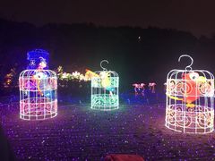 -飞凤山奥体公园