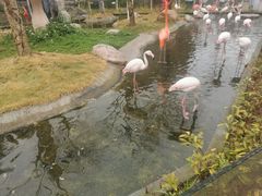 -灵玲国际马戏城