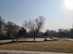 -万泉公园