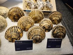 -青蓬蒸汽海鲜·深圳老字号·团建聚会(壹方城店)