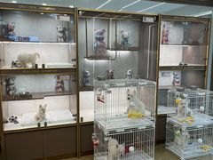 -翊宠yipet猫狗购宠庄园犬舍•猫舍