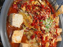 -苏泡泡豆花烤鱼(婺源店)