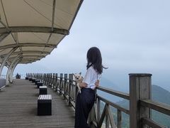 -江南天池