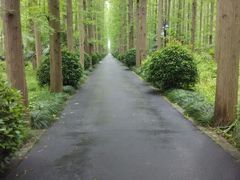 android_upload_pic-上海怡沁园度假酒店