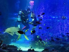 -沈阳海洋探索中心