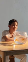 -小木马儿童摄影