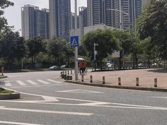 -光明刘冰乳鸽店(光明法政北路店)