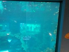 -乐从天佑城海洋馆
