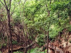 -大岭沟猕猴桃谷风景区