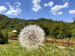 -白草畔自然风景区