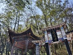 -苍山感通索道