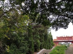 -三水森林公园