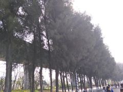 -宝安西湾红树林湿地公园