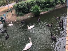 -长白岛森林公园