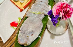 Delicate Pufferfish