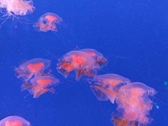 -南京海底世界