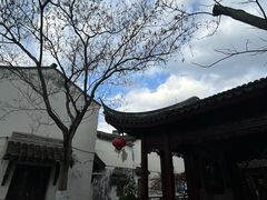 -檀园