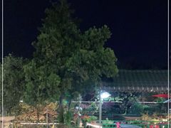 -龙回山庄