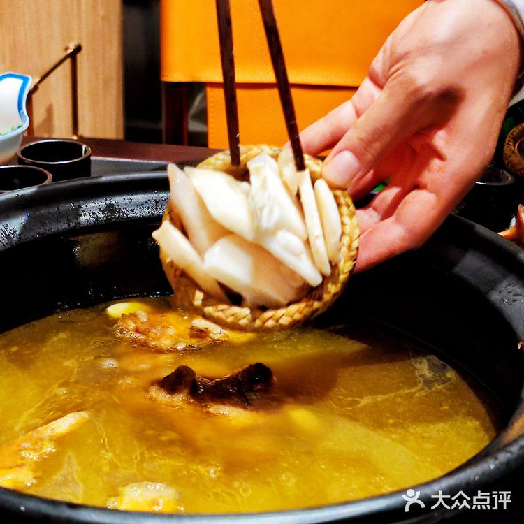 🍄野生菌的味觉奇迹！真的让你不敢相信这味道来自大自然🌲