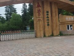 -五营红松林海景区