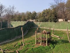 -合肥野生动物园