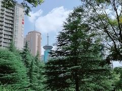 -新虹桥中心花园