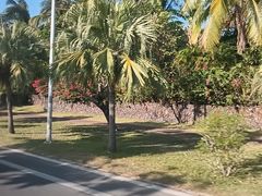 -亚龙湾亚泰商业街