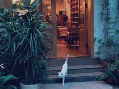 -懒鱼时光馆(沙坪坝店)