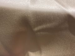 -广州富力丽思卡尔顿酒店·丽轩·粤菜