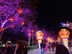 -攀枝花公园