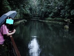 景区入口的小河-云南屏边大围山国家公园