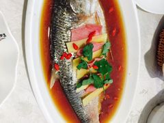 -阿英煲(凉城路店)