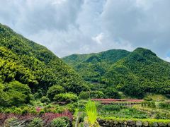 -四明山国家森林公园