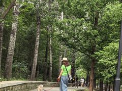 -白水寺森林公园