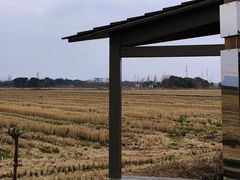 -嘉北郊野公园