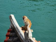 -白帝城·瞿塘峡景区