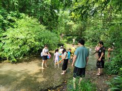 -桤木河湿地公园