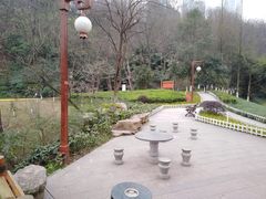 -重庆彩云湖湿地公园