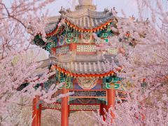 -颐和园