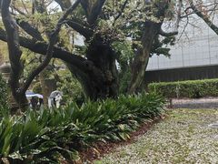 -东京国立博物馆