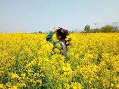 -王顺山国家森林公园