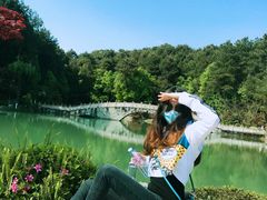 -铁山坪森林公园