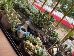 -春风十里咖啡馆