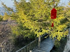 -苏木山森林公园