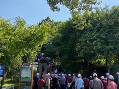 -神光山国家森林公园