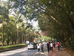 -南国桃园旅游度假区