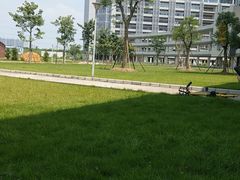 -广东财经大学(广州校区)