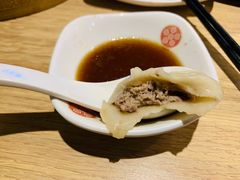 -老班长手工灌汤包(望京华彩店)