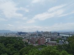 -福道