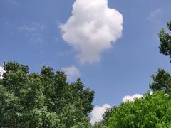 -盒马鲜生(悠方店)